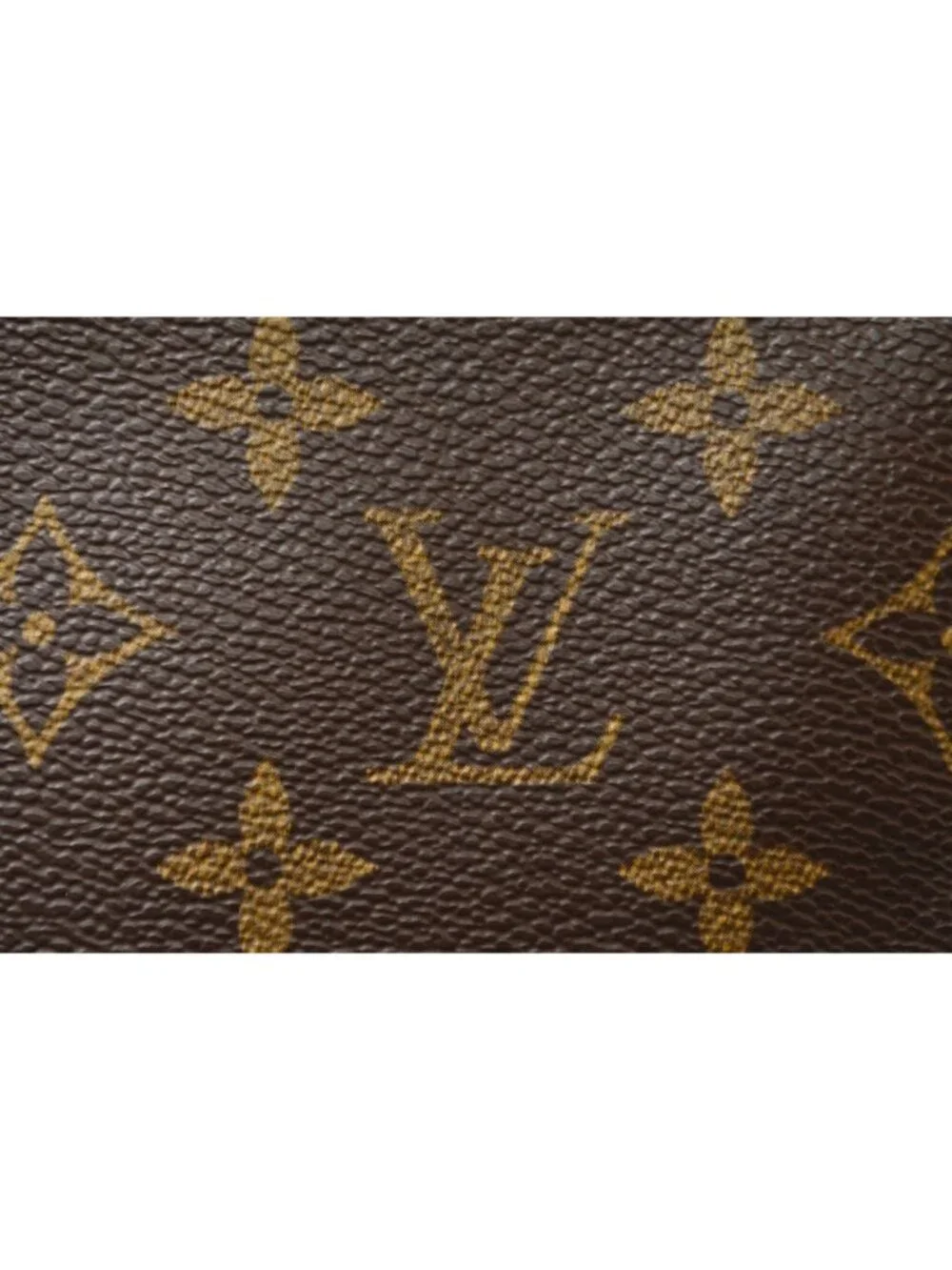 Louis Vuitton monogram canvas